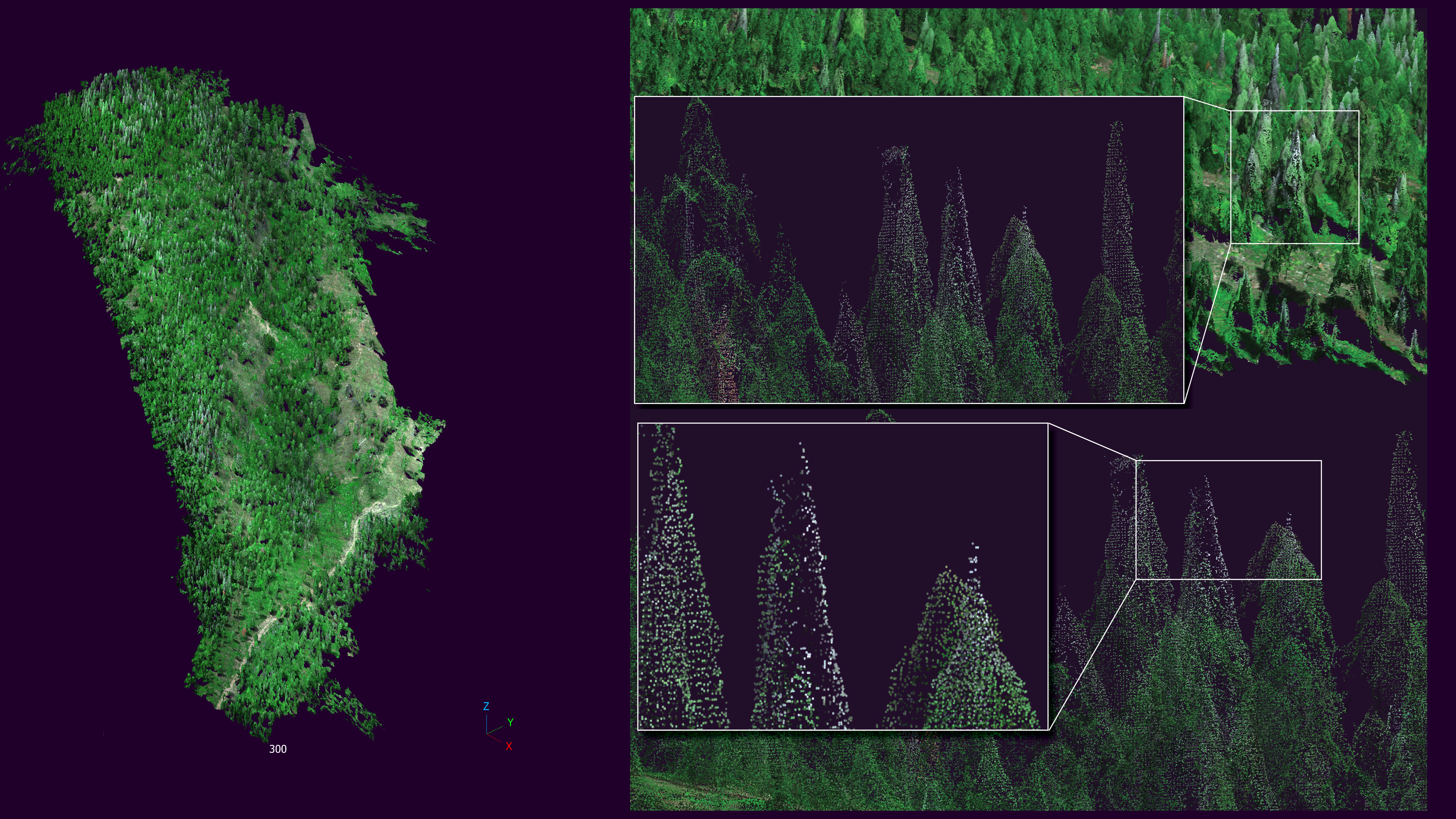 Image showing point cloud data used in MS project displayed in CloudCompare